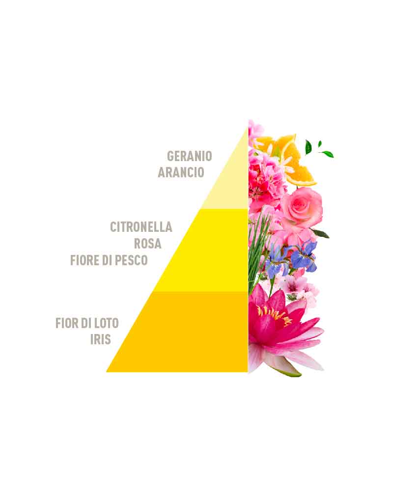 Profuma Bucato Citronella e Geranio 250ml