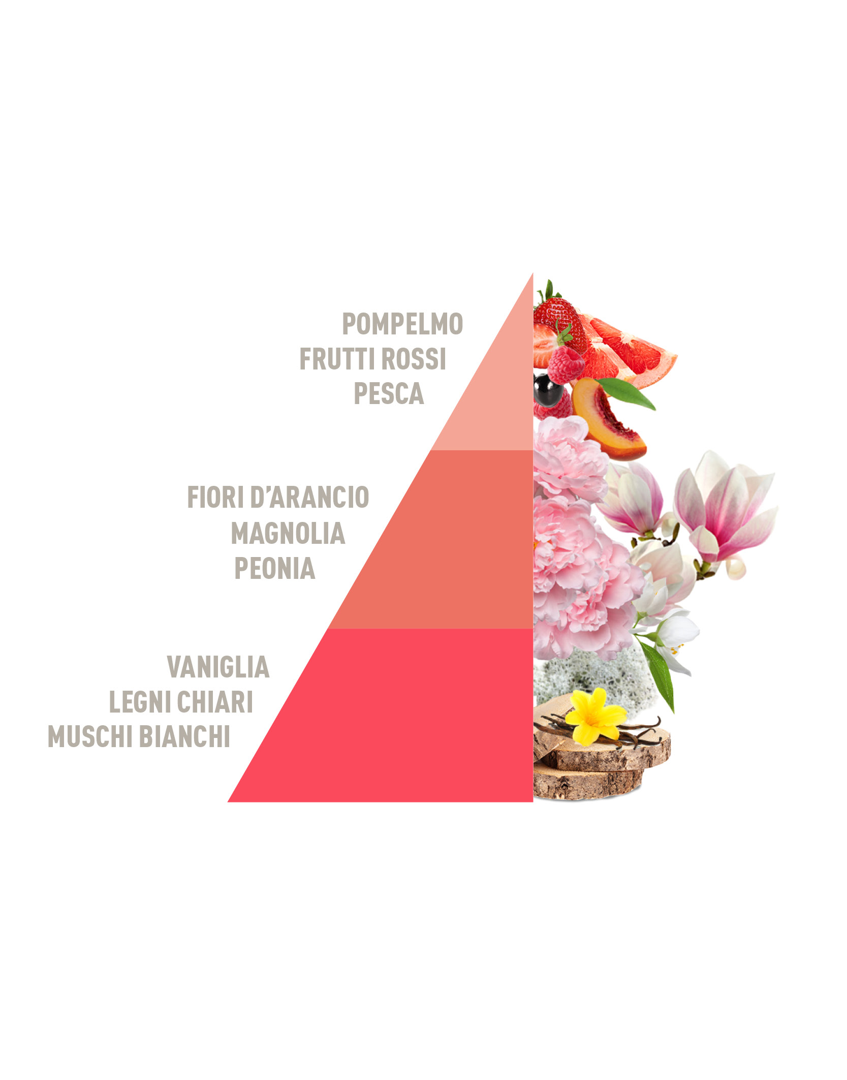 Profuma Bucato Corallo 50ml