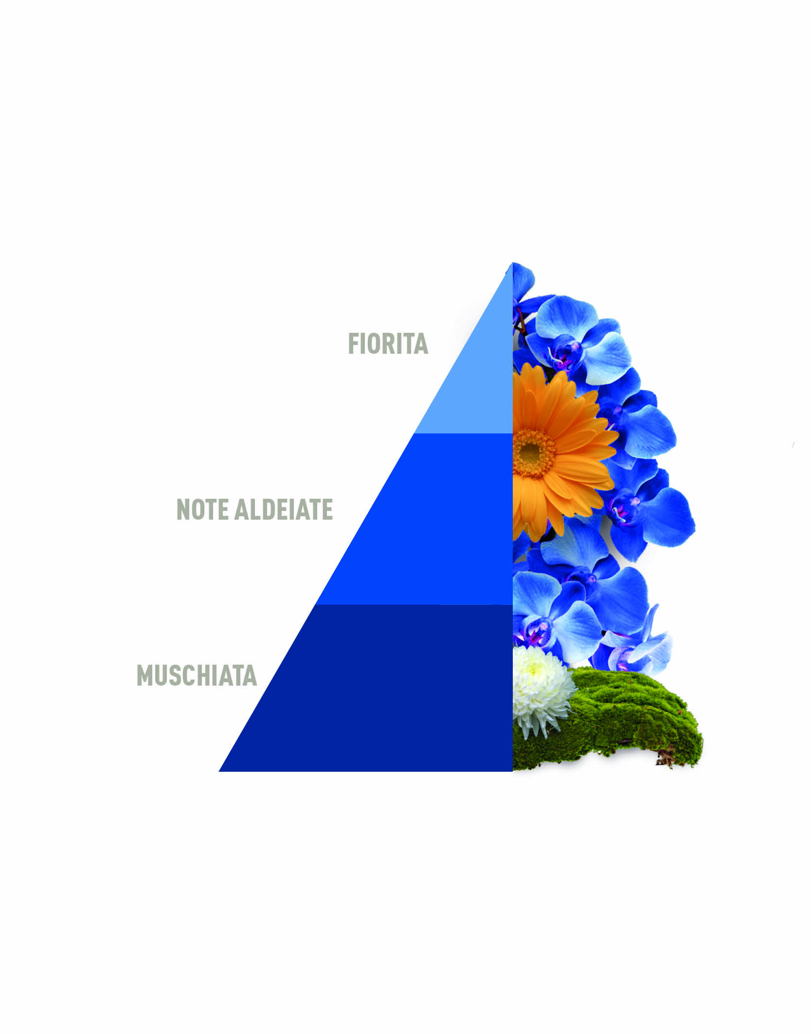 Horotwins Blue fior di loto OUTLET