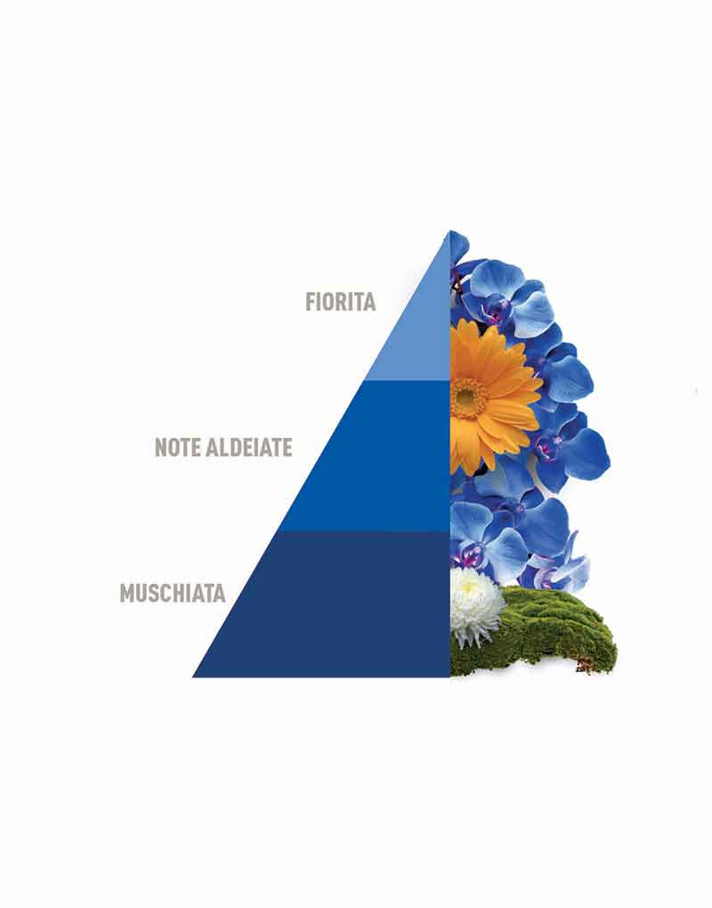 Spray-on fabric Perfume Blue