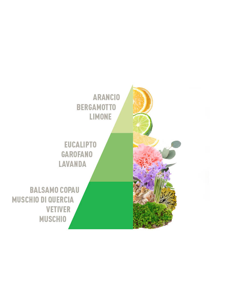 Multipurpose Scented Bags Fresh Odour Control