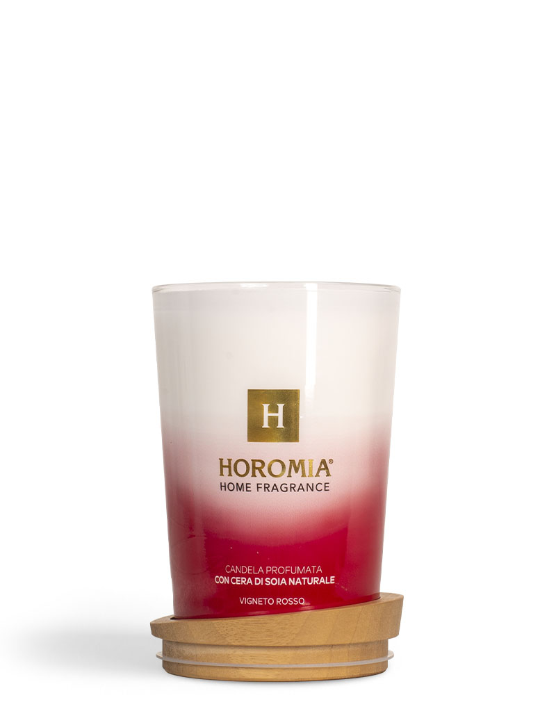 Spray Diffusers Vigneto rosso 50ml