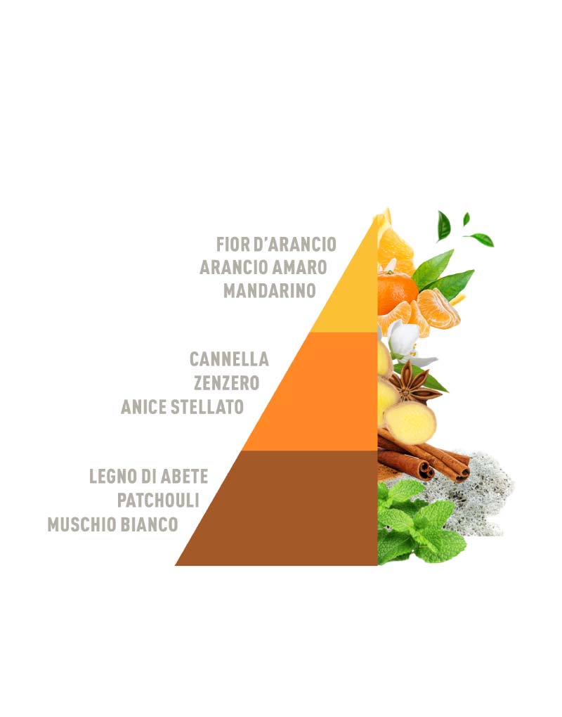 Scented candle Arancio e cannella 350g