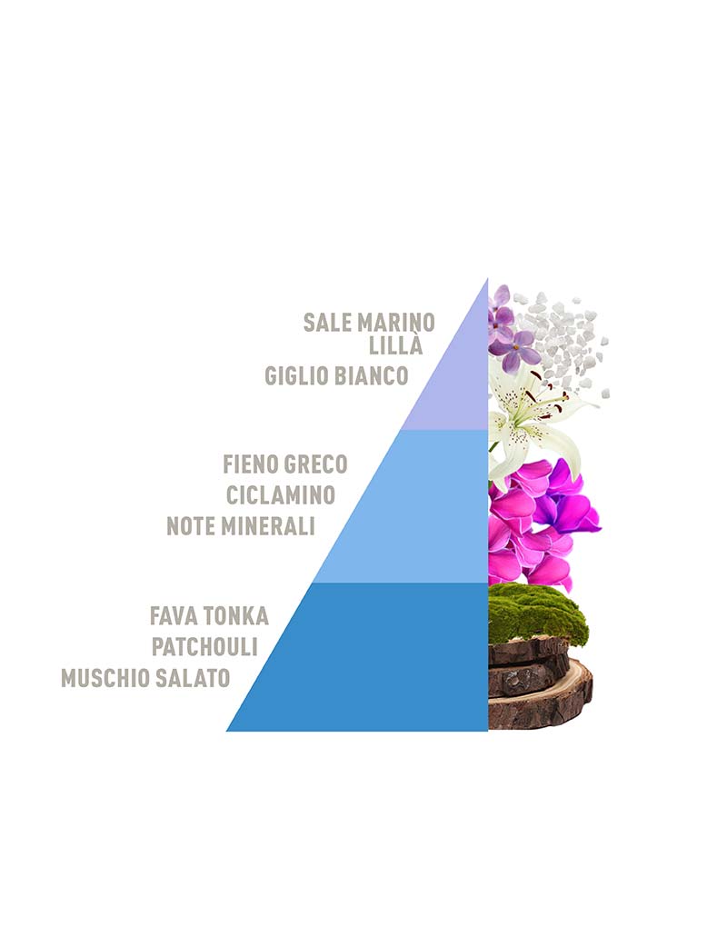 Spray Diffusers Brezza minerale 50ml