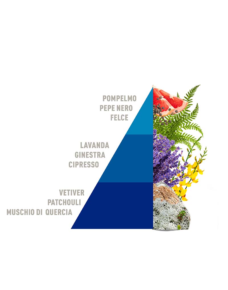 Spray Diffusers Fiori blu 50ml