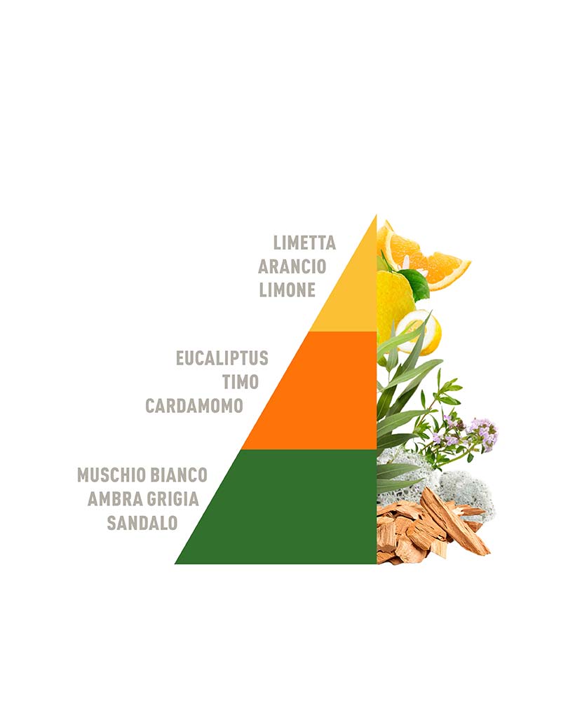 Spray Diffusers All’ombra degli Aranci 50ml