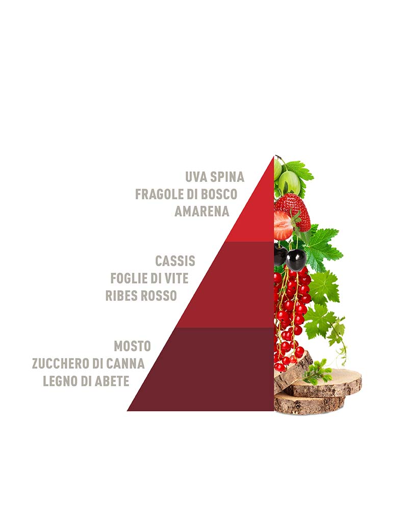 Scented candle Vigneto rosso 350g