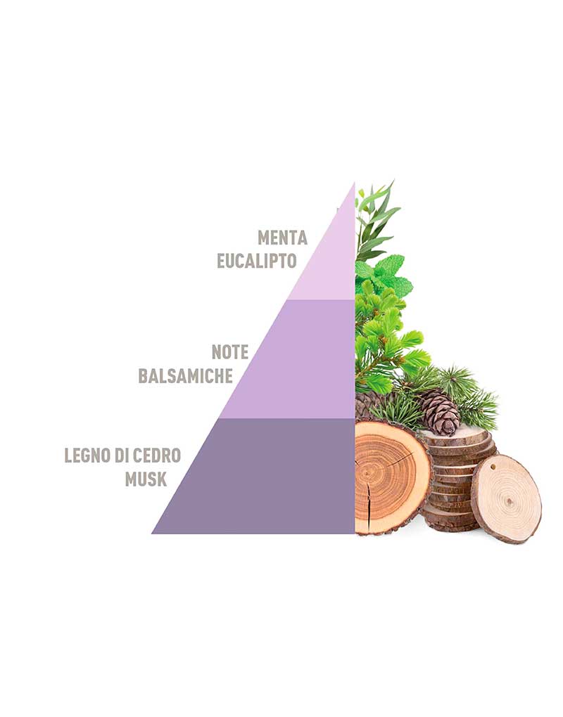 Spray-on fabric Perfume Brezza di primavera