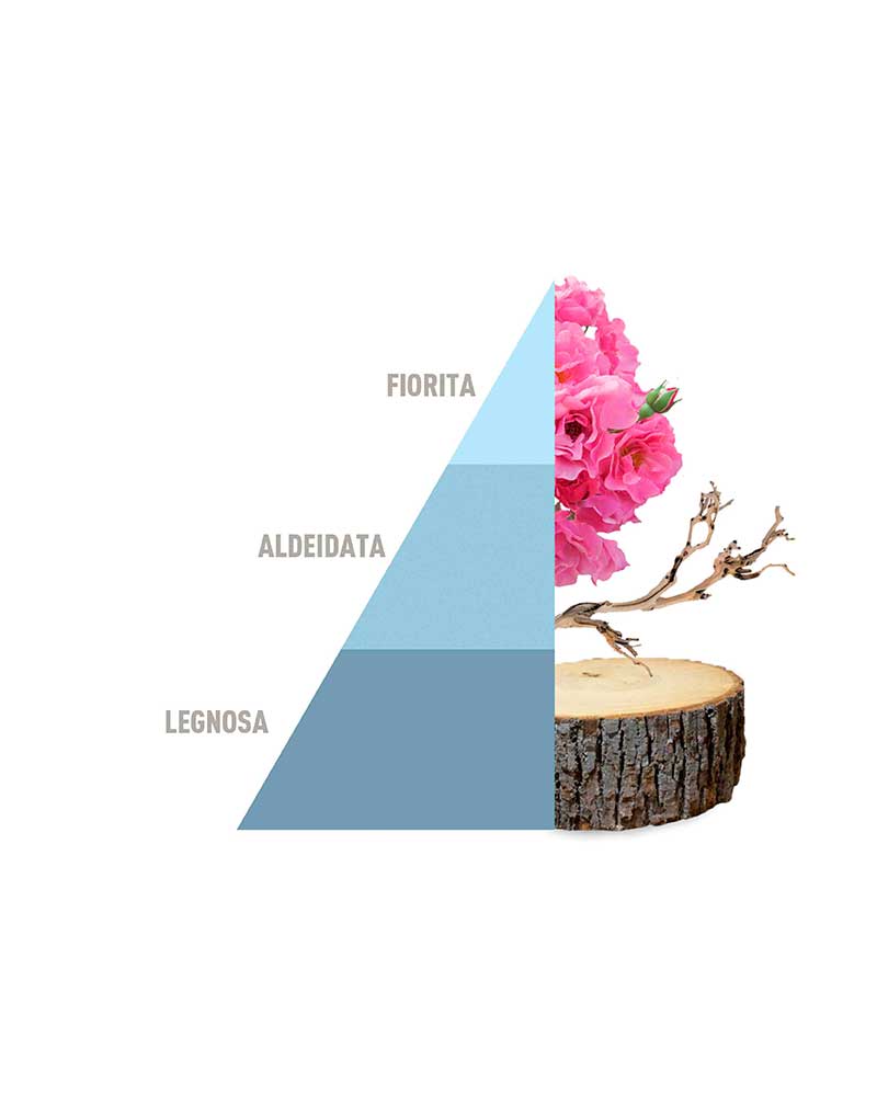 Spray-on fabric Perfume Fresh cotton