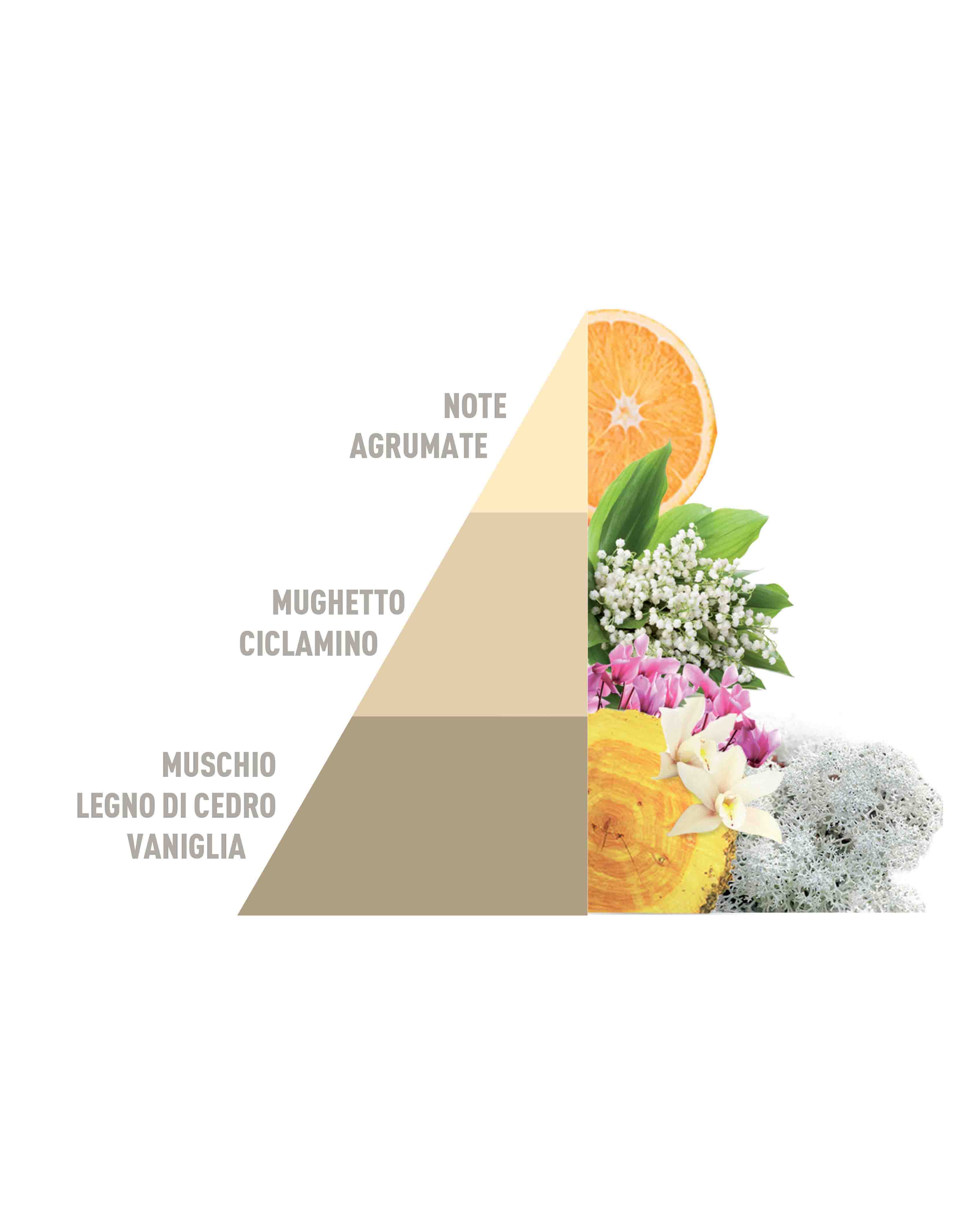 Multipurpose Scented Bags Gold Argan