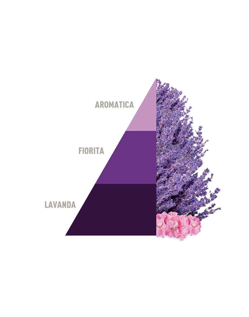 Laudry Perfume Aromatic Lavender 250ml