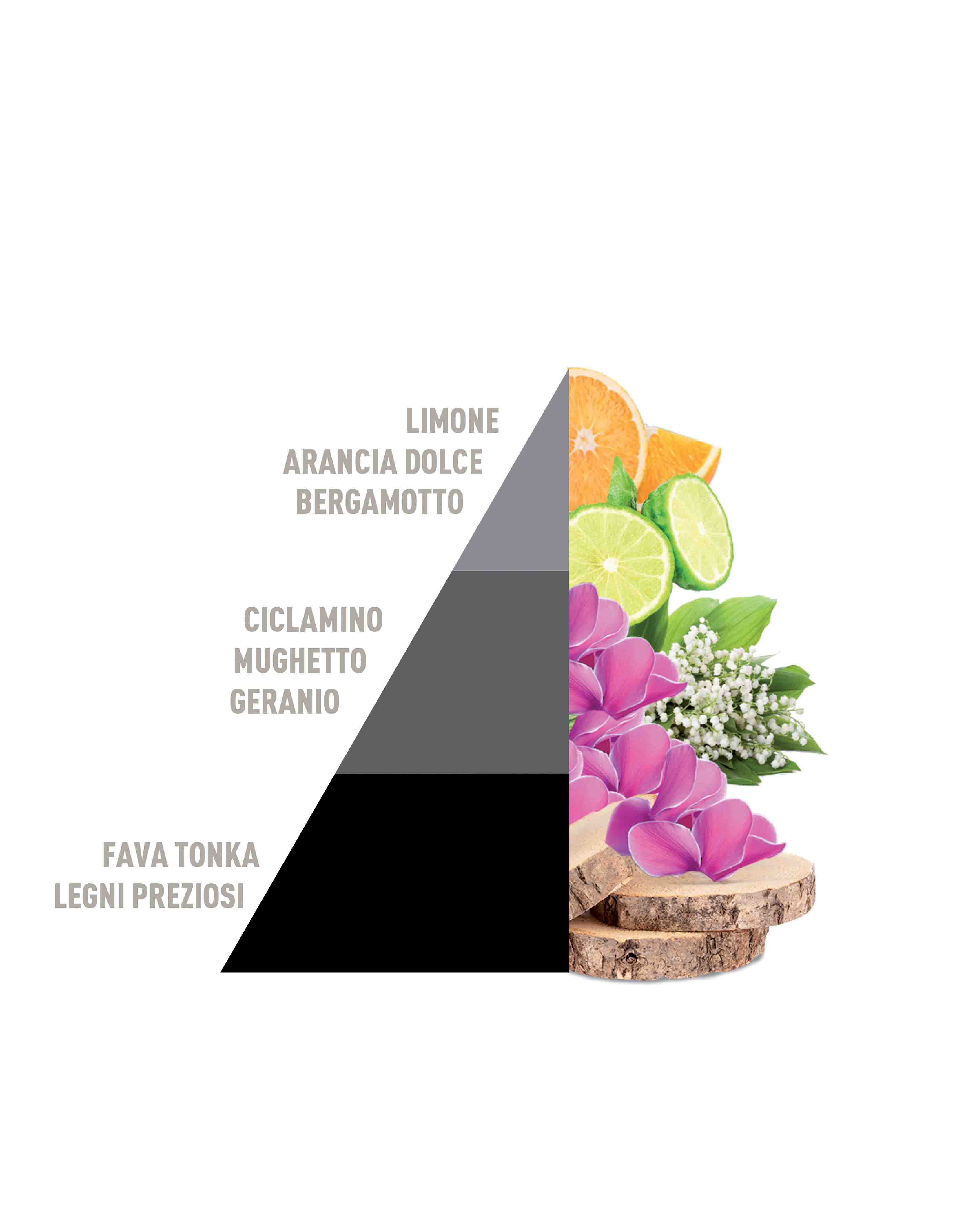 Multipurpose Scented Bags Liberty