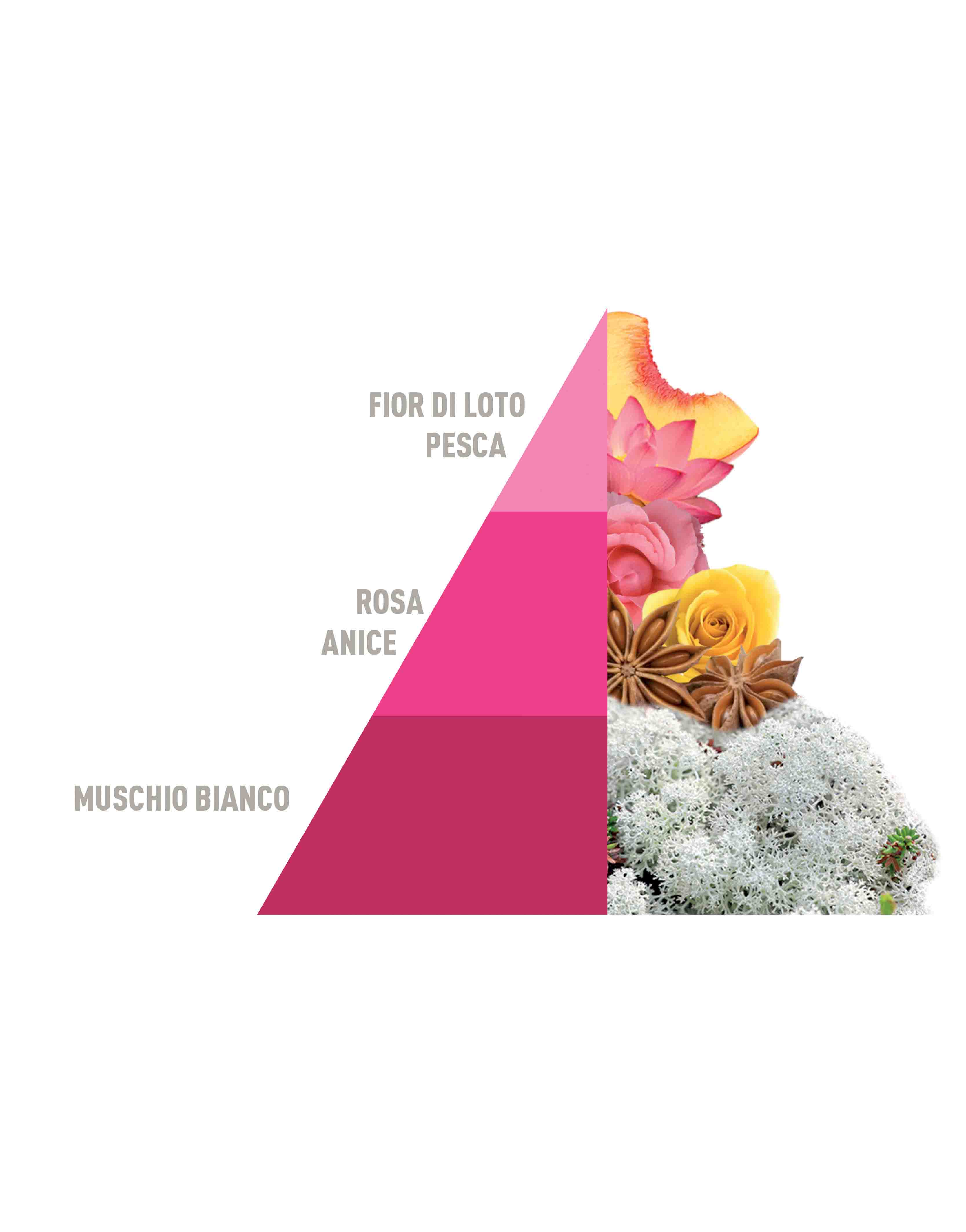 Horo4 Box set - Liberty, White, Soffice Talco, Muschi e Loto da 50 ml