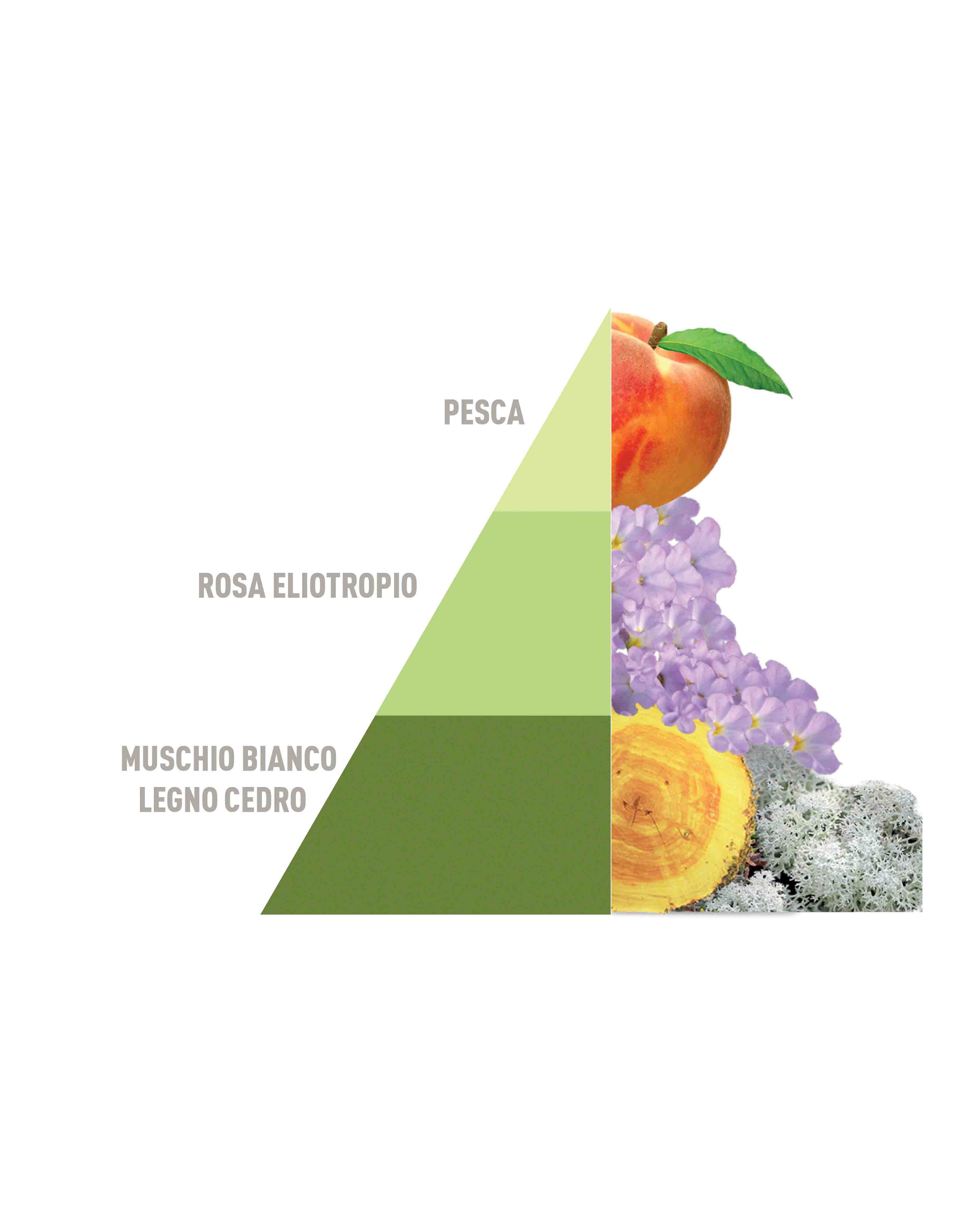 Biphasic system perfumer Musica del Sole 500ml