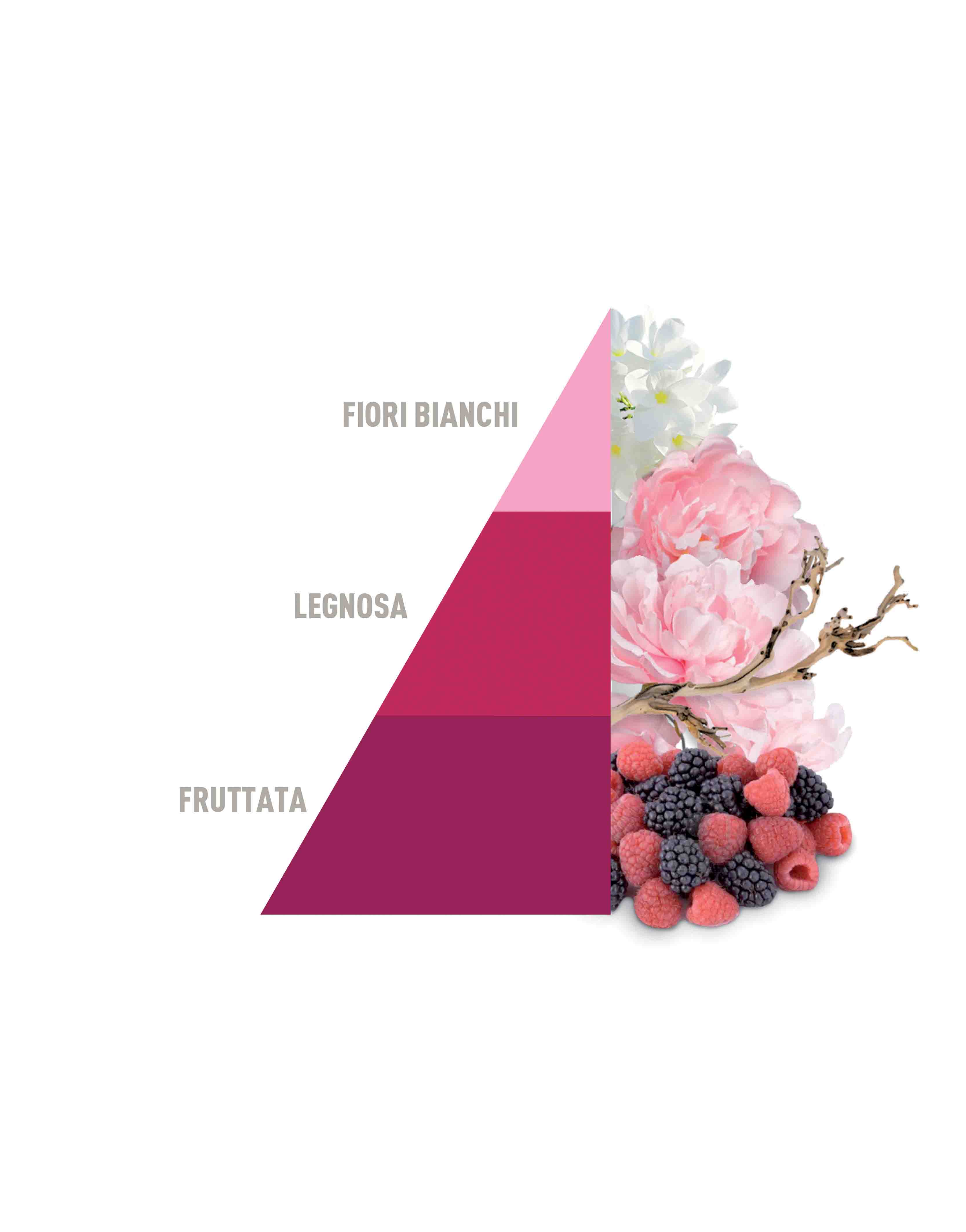 Biphasic system perfumer Petali di Peonia 500ml