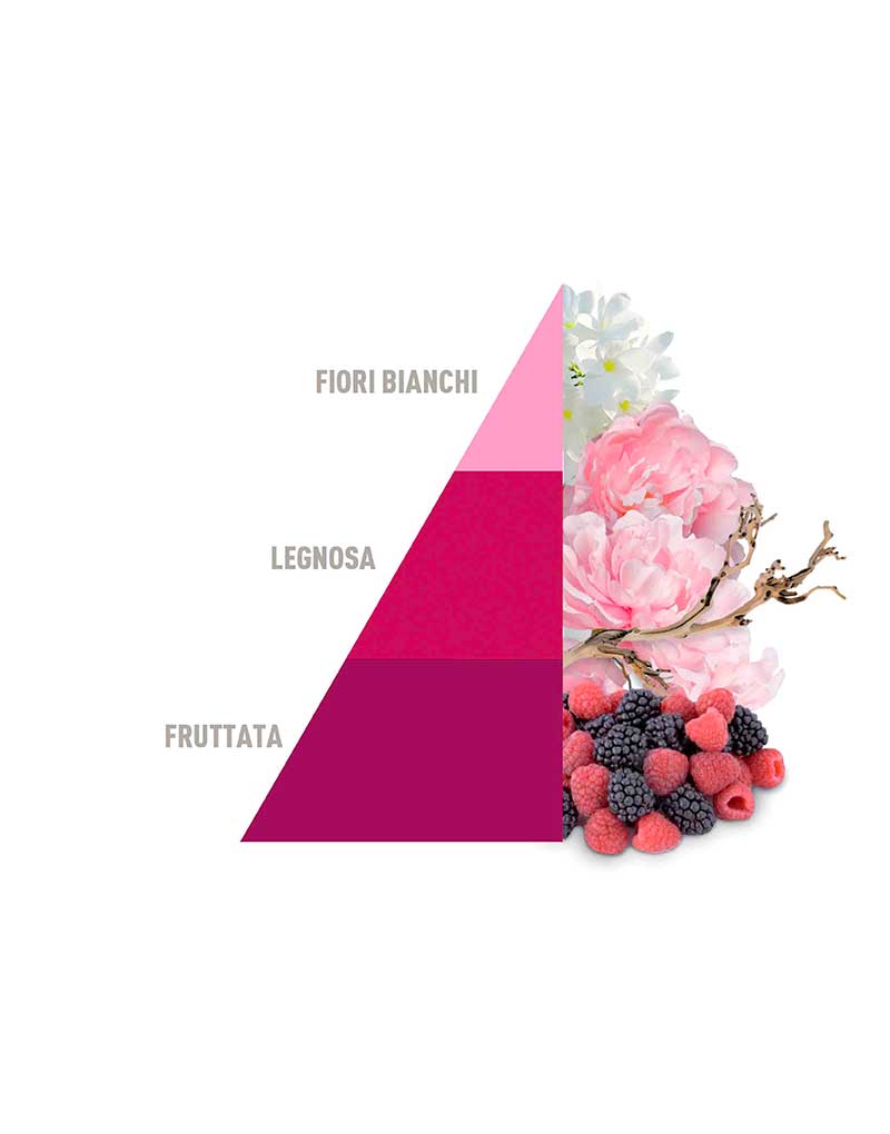 Spray-on fabric Perfume Petali di Peonia