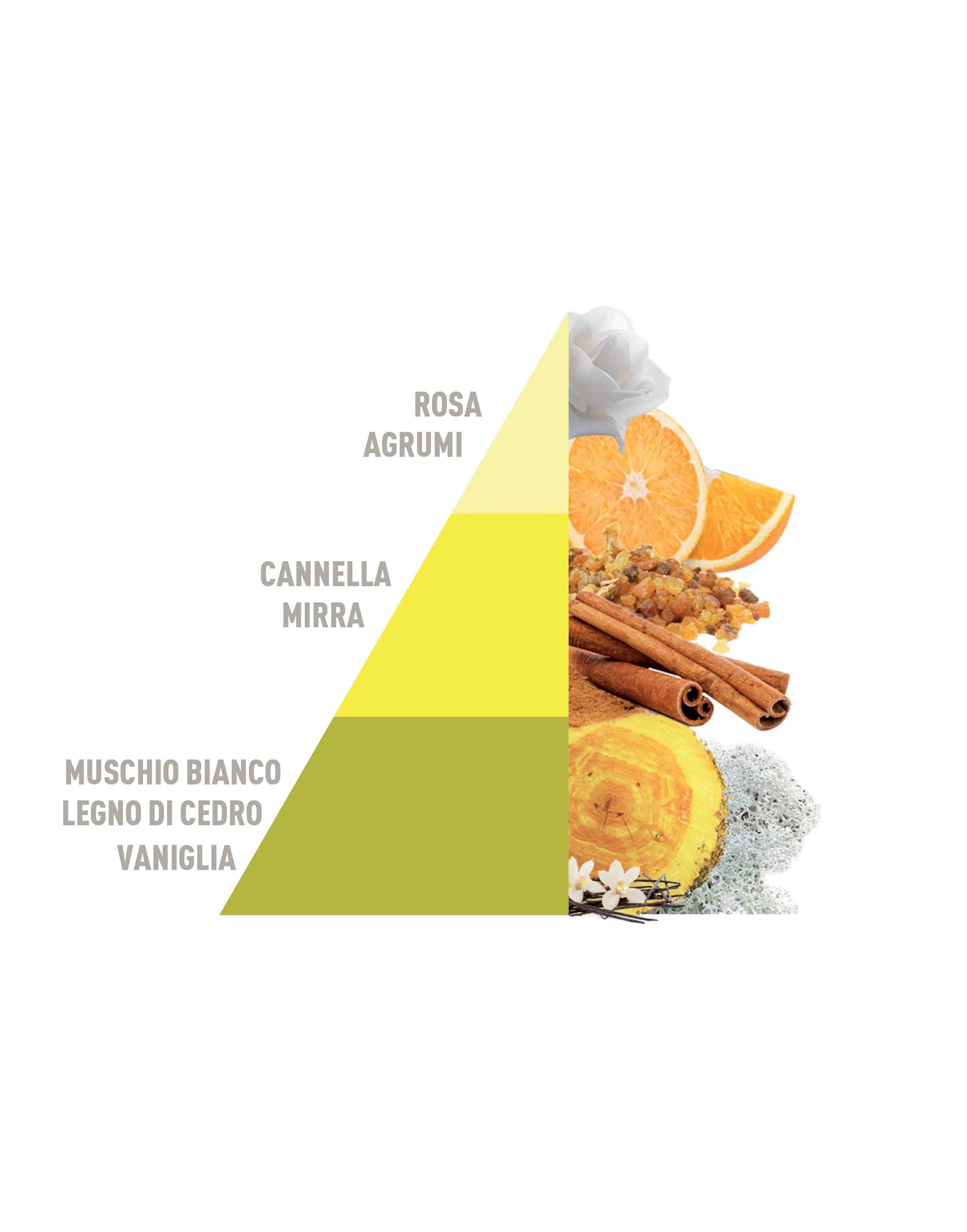 Biphasic system perfumer Vaniglia e Mirra 500ml