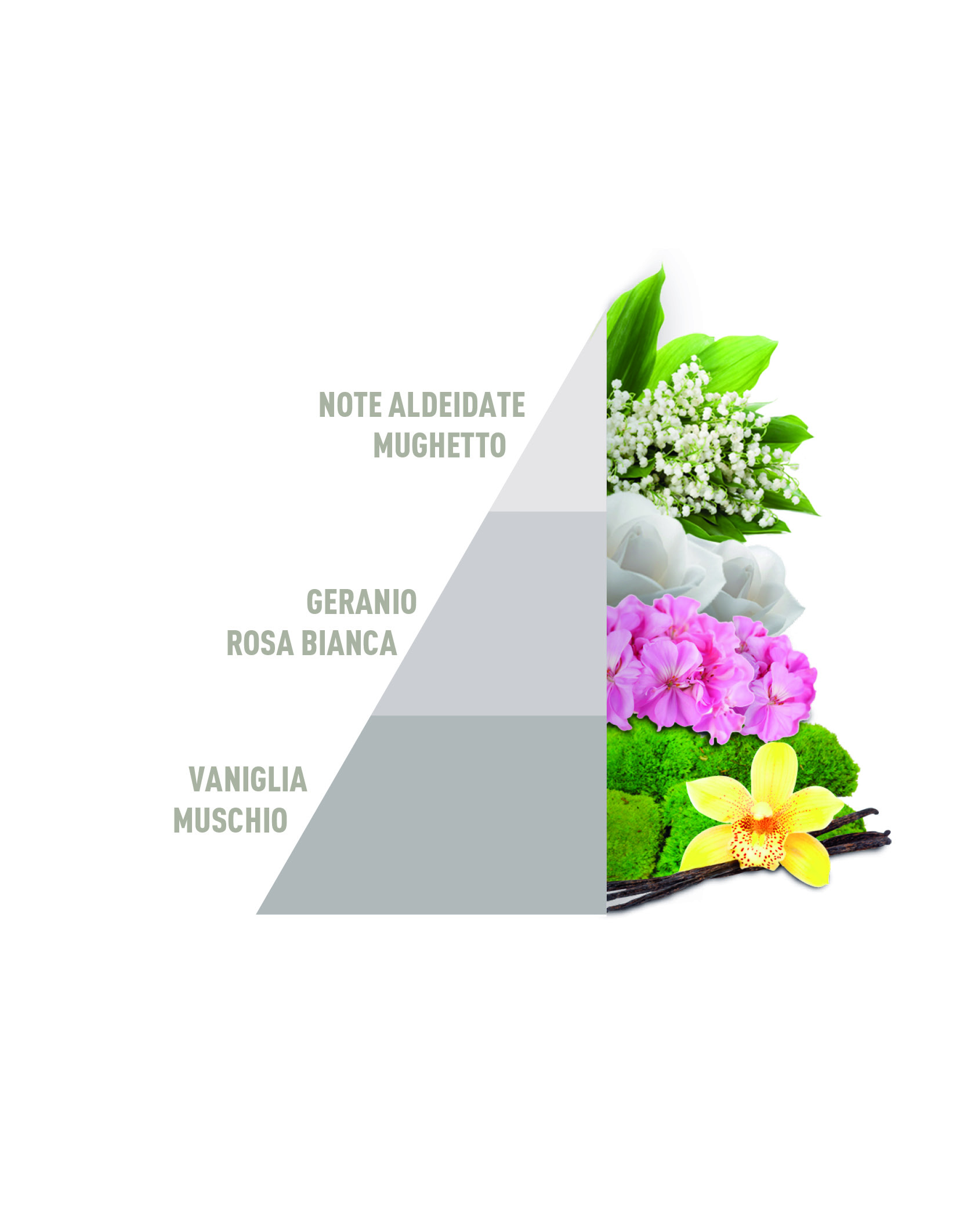 Horo4 Box set - Liberty, White, Soffice Talco, Muschi e Loto da 50 ml