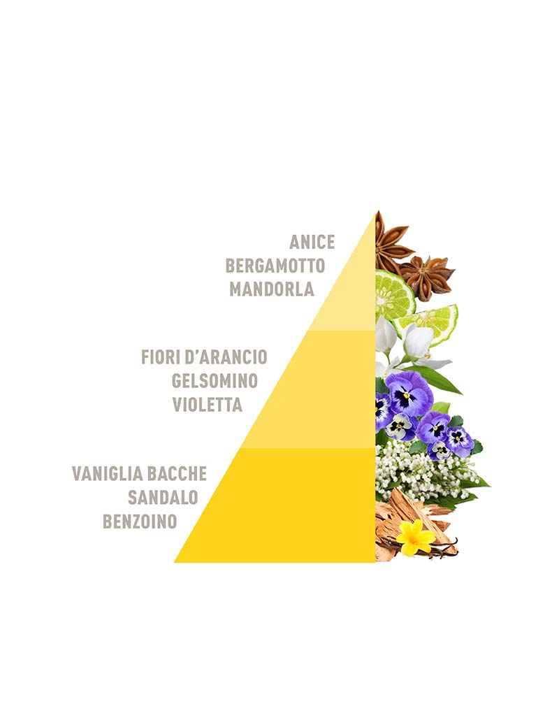 Spray Diffusers Vaniglia e benzoino 50ml