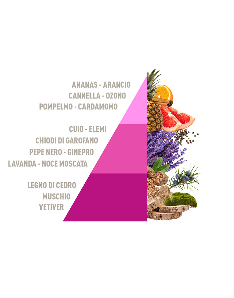 Diffuser Sticks Aromatic Freshness 500ml