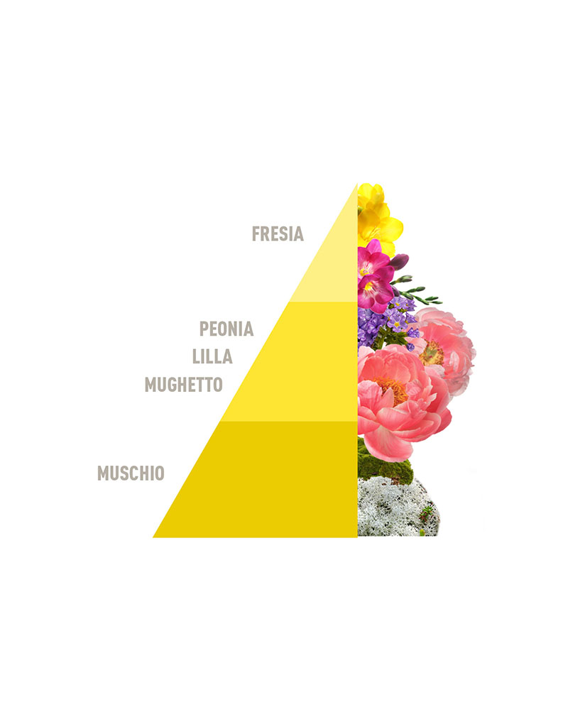 Diffuser Sticks Blooming Cotton 200ml