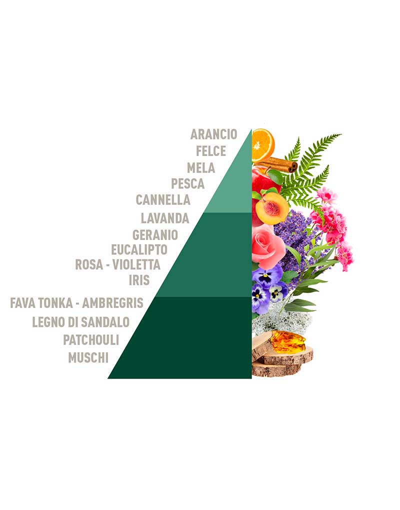 Profuma Bucato Brezza D'Autunno 250ml