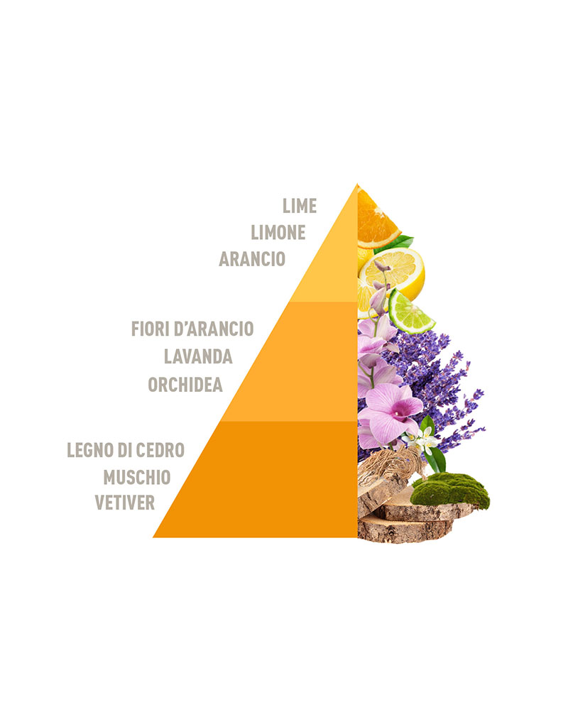 Diffuser Sticks Lime e Vetiver 200ml