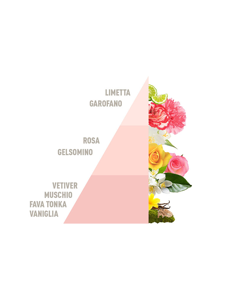 Diffuser Sticks Pure Musk 500ml