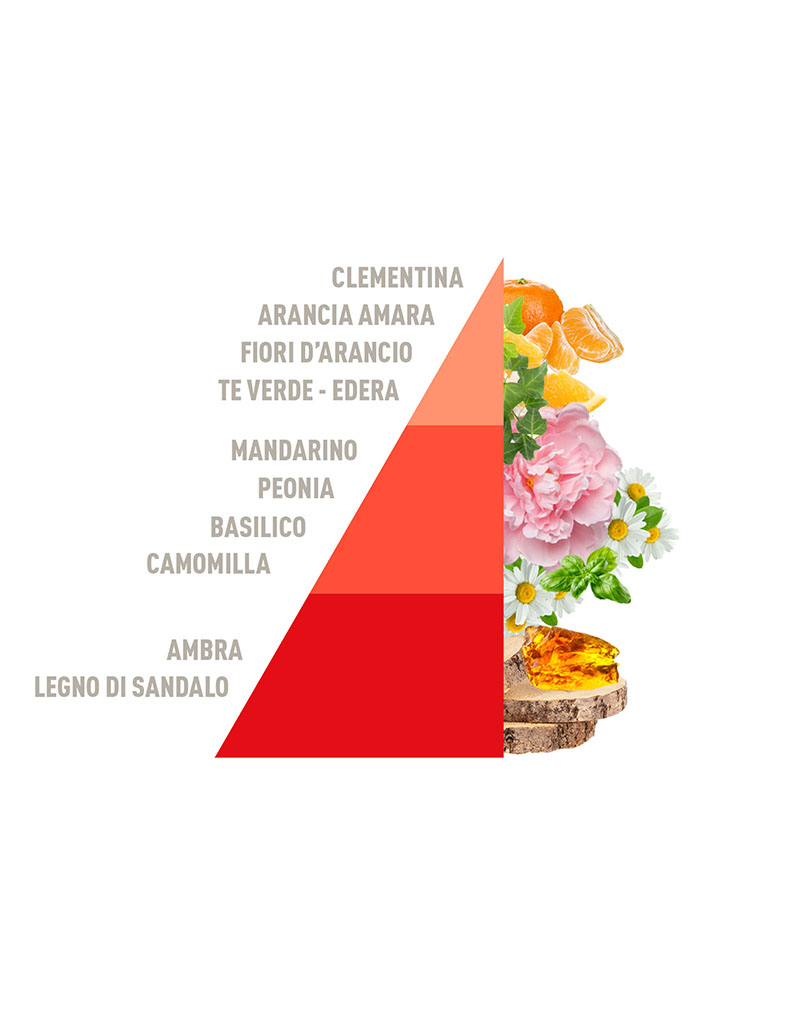 Diffuser Sticks Tangerine & Basil 200ml