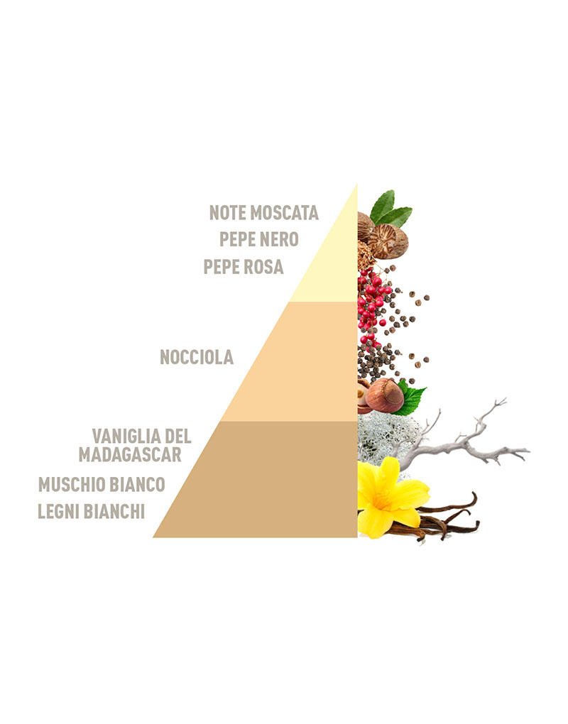 Diffuser Sticks Vanilla & Black Pepper 500ml