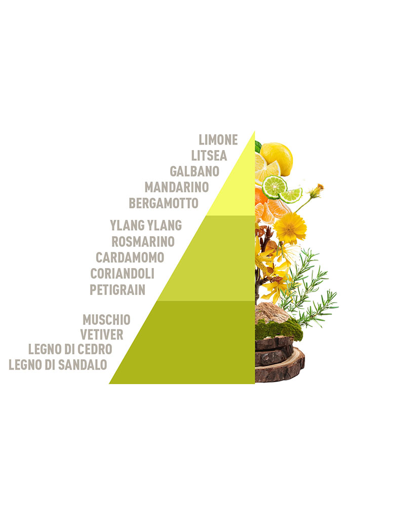 Diffuser Sticks White Tea & Tangerine 200ml